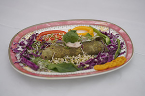 sattvik Image